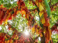 -石岛赤山风景区