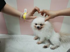 -汪说·狗咖(旺城大厦店)