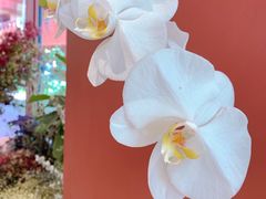 -二酉书店TOYOU BOOKS