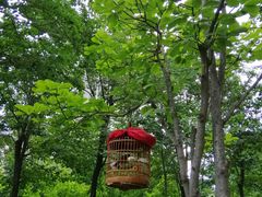 -木塔寺遗址生态公园