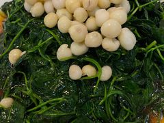 -吴门人家·苏宴宫廷菜(拙政园店)