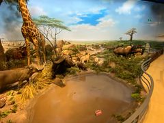 -陕西自然博物馆