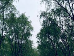 -东郊湿地公园