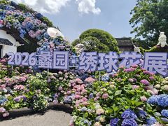 -无锡蠡湖国家湿地公园-蠡园