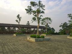 -广州市帽峰山景区