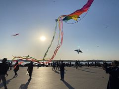 -丁香湖公园