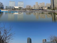 -金沙湖公园