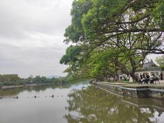 -江心屿景区
