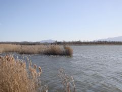 -野鸭湖国家湿地公园