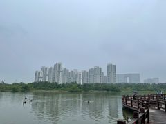 -五缘湾湿地公园