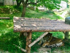 -西安秦岭野生动物园