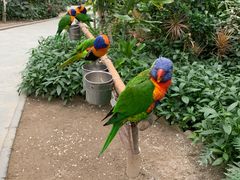 -南宫五洲植物乐园