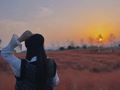 -汉长安城未央宫国家考古遗址公园