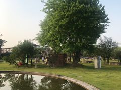 -同里湖大饭店-怡景轩中餐厅(同里古镇店)