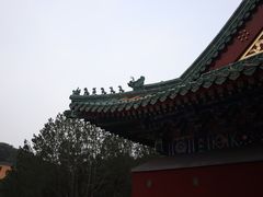 -颐和园
