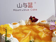 -山与蓝·轻糖鲜果蛋糕(勒泰店)
