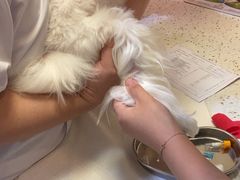 -宠爱国际动物医院·消化内科·心肾内科·ISFM猫友好(望京店)