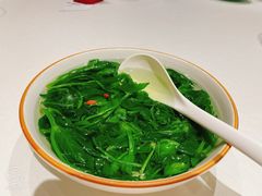 -峨嵋酒家 南北川菜 优选烤鸭(广渠路店)