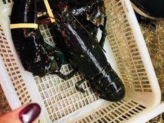 -本地渔村海鲜大咖(商业街店)