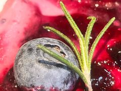 -喜马拉雅森(运河汇1958店)