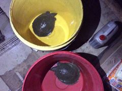 -沙头涌渔栏海鲜餐厅