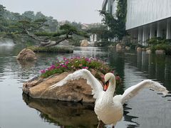 -罗红摄影艺术馆