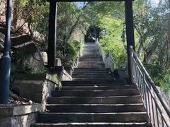 -鸿山公园