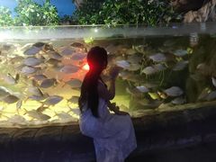 -多彩贵州城极地海洋世界