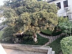 -苏州图书馆(人民路总馆)
