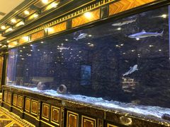 -金正海悦大酒店·法式铁板烧·演绎(海悦天地购物广场店)