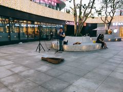 -野狸岛