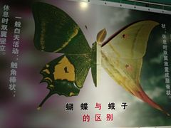 -上海昆虫博物馆