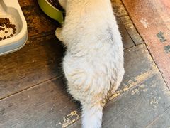 -雕刻时光·咖啡·酒吧·西餐(香山店)