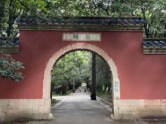 -灵谷景区