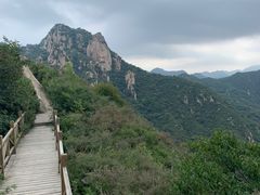 -大岭沟猕猴桃谷风景区