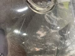-瑞鹏宠物医院·骨外科·心肾科·肿瘤科(九亭店)