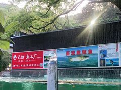 -天怡·鱼工厂(梅溪湖店)