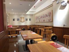 -海丝金凤(金鱼店)
