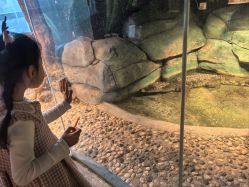 -未来动物城主题公园(正弘城店)