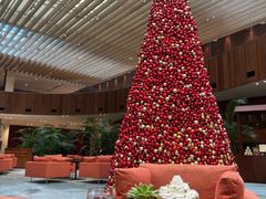 -北京望京凯悦酒店The Lounge大堂酒廊