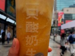 -一只酸奶牛(八一路店)