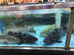 -渔民新村(番禺总店)