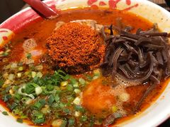 -豚王拉面(铜锣湾店 )