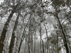 -龙苍沟森林公园