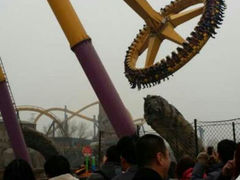 android_upload_pic-北京欢乐谷