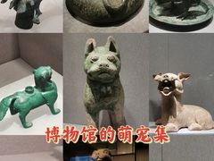 -河南博物院