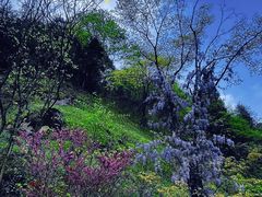 -娄山关景区