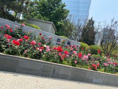 -京广桥地面停车场