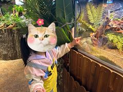 -杭州开元森泊度假乐园