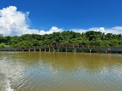 -东寨港红树林旅游区